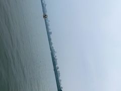 -西湖游船