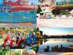 -美的鹭湖森林度假区