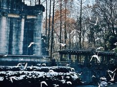 -音乐台
