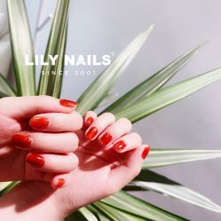 -LILY NAILS美甲美睫