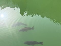 -山西通天峡景区