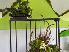 -杭州植物园