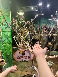 点击看大图 -Zoolung Zoolung动物主题公园(海信广场店)
