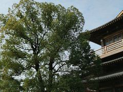 -香积寺