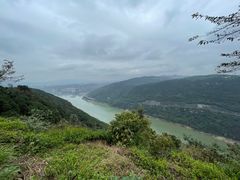 -铁山坪森林公园