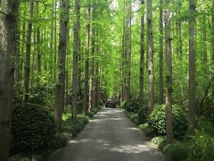 -上海怡沁园度假酒店