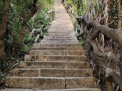 -梧桐山风景名胜区