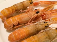 -圣丰索菲特·2 On 988 Café 自助餐厅
