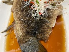 -光明邨大酒家(汇阳广场店)
