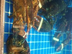 -徽三说·土徽菜·中国徽菜连锁品牌(一中店)