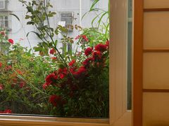 -福禧酒窖·中餐厅 (万柳店)