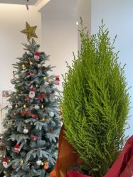 -盼兮·日式美睫沙龙