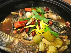 -龙悦湾酒家·八阵鱼生·渔人码头店