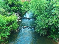 -羊山湖公园