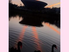 -中国移动南方基地