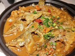 家烧肥肠小鳜鱼-马头巷·食景园(苏州总店)