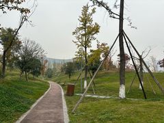 -桂溪生态公园