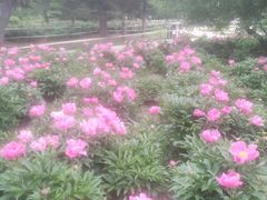 -长春公园(普阳街道)