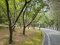 -苏州河梦清园环保主题公园