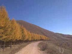 -塞罕坝国家级自然保护区