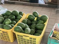 -庞各庄翠芳园西瓜蔬菜基地采摘园