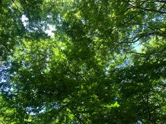 -龙洞风景区-藏龙涧