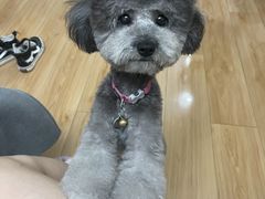 -沐沐家宠物(成寿寺店)