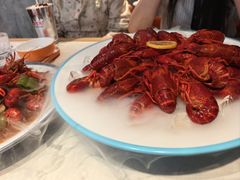 -杨氏青龙虾·羊蝎子(托乐嘉店)
