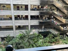 -黑龙江中医药大学附属第一医院