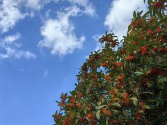-南京市江宁方山
