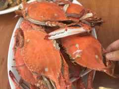 -胖大嫂渔家排档·全海景餐厅(渔村店)