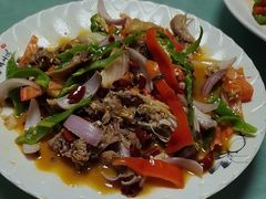 -煲来饱去冷水鱼