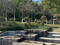 -火炉山森林公园