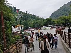 -西双版纳原始森林公园