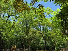 -上海海湾国家森林公园