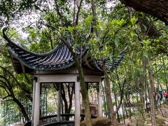 -岳麓山风景名胜区