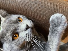 -IN COFFEE LAB 隐咖啡