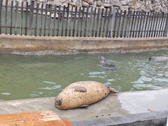 -八仙过海景区