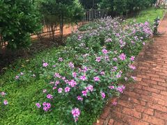 -侯臣咖啡文化村