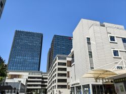 -首都医科大学附属北京儿童医院