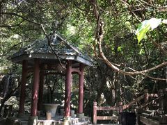 -清溪森林公园
