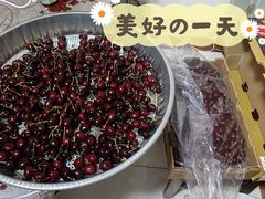 -海吉星市场