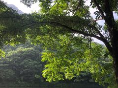 -龙道沟景区
