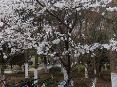 -江南大学(蠡湖校区)