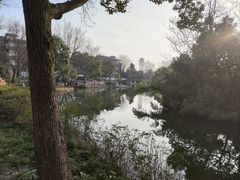 -西溪国家湿地公园