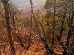 -帽儿山国家森林公园