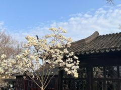 -拙政园