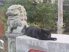 -高旻寺