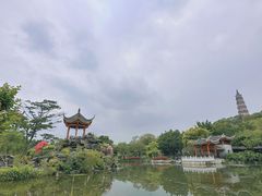 -顺峰山公园