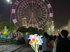 -南昌之星摩天轮